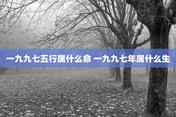 一九九七五行属什么命 一九九七年属什么生