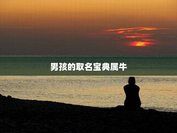 男孩的取名宝典属牛