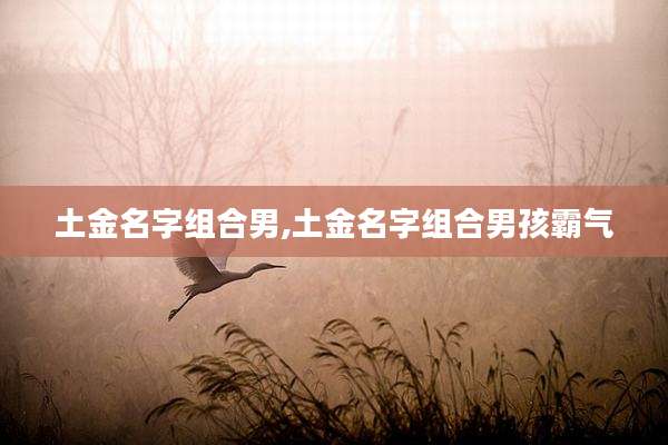 土金名字组合男,土金名字组合男孩霸气