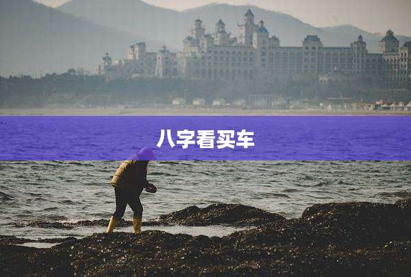 八字看买车