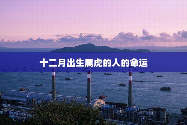 十二月出生属虎的人的命运