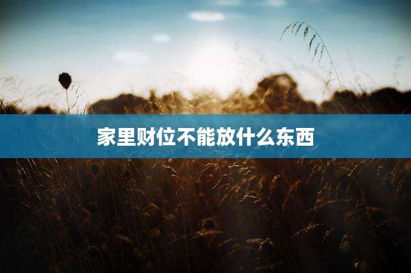 家里财位不能放什么东西