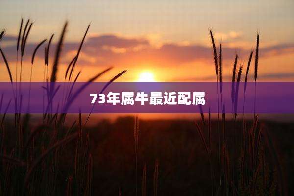 73年属牛最近配属