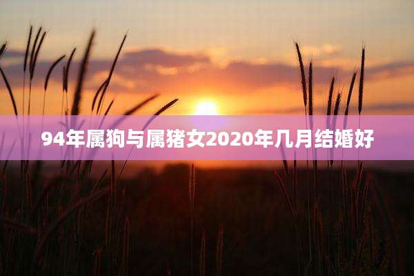 94年属狗与属猪女2020年几月结婚好