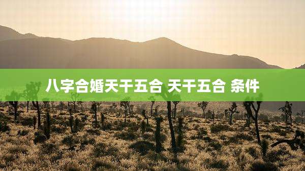 八字合婚天干五合 天干五合 条件