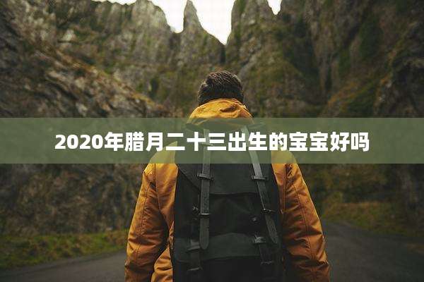2020年腊月二十三出生的宝宝好吗