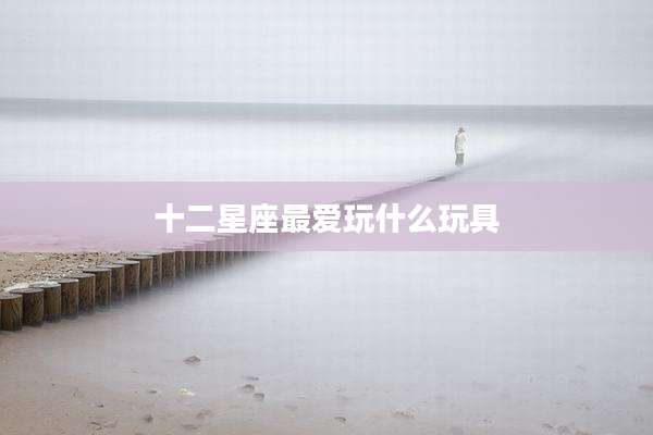 十二星座最爱玩什么玩具