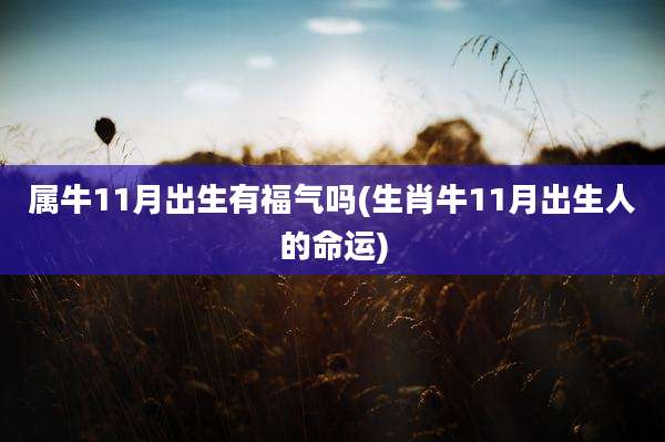 属牛11月出生有福气吗(生肖牛11月出生人的命运)