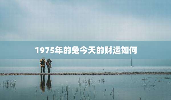 1975年的兔今天的财运如何