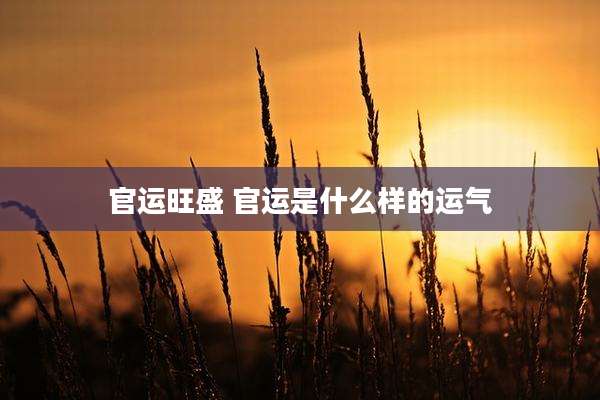 官运旺盛 官运是什么样的运气