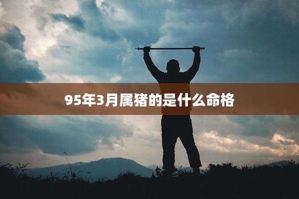 95年3月属猪的是什么命格