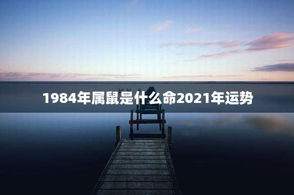1984年属鼠是什么命2021年运势