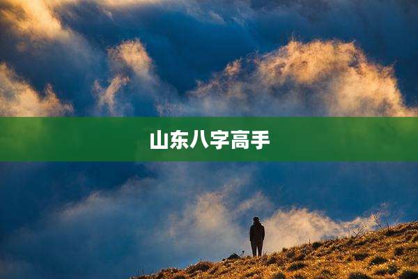山东八字高手
