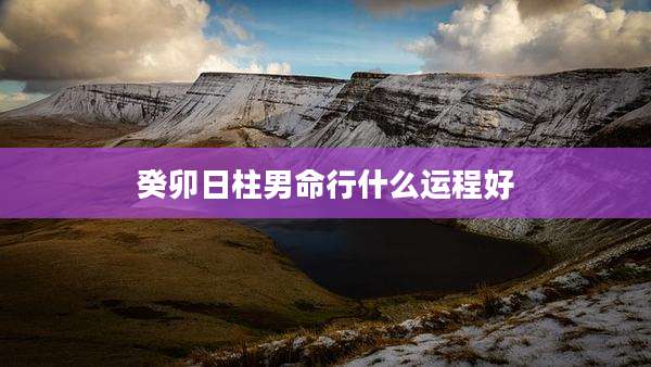 癸卯日柱男命行什么运程好