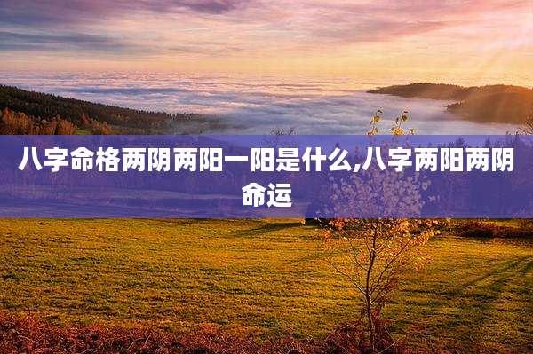 八字命格两阴两阳一阳是什么,八字两阳两阴命运