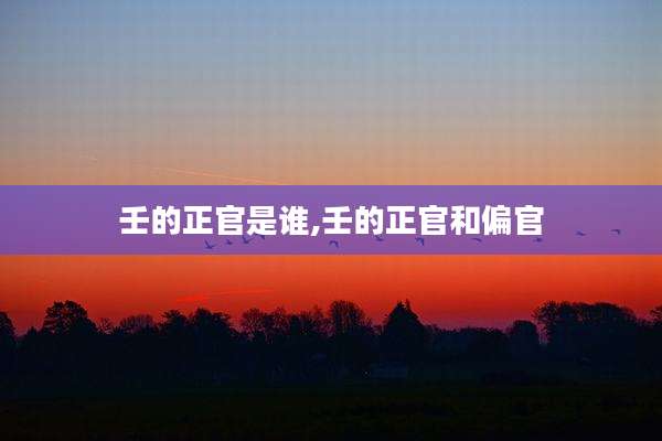 壬的正官是谁,壬的正官和偏官