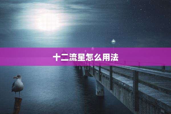 十二流星怎么用法