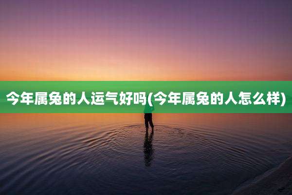 今年属兔的人运气好吗(今年属兔的人怎么样)