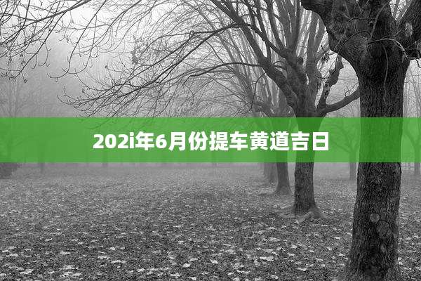 202i年6月份提车黄道吉日
