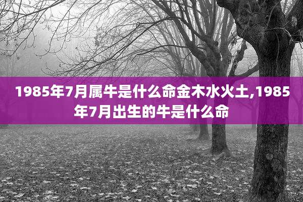 1985年7月属牛是什么命金木水火土,1985年7月出生的牛是什么命