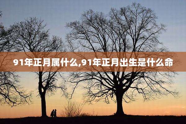 91年正月属什么,91年正月出生是什么命
