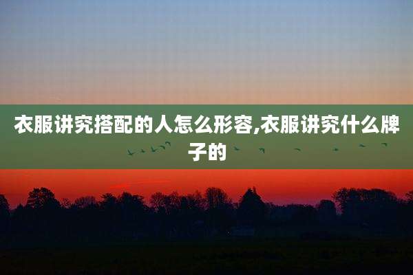 衣服讲究搭配的人怎么形容,衣服讲究什么牌子的
