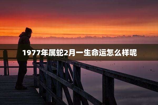 1977年属蛇2月一生命运怎么样呢