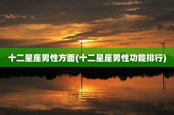 十二星座男性方面(十二星座男性功能排行)