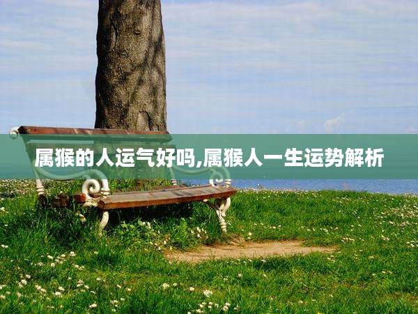 属猴的人运气好吗,属猴人一生运势解析