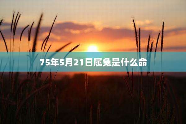 75年5月21日属兔是什么命