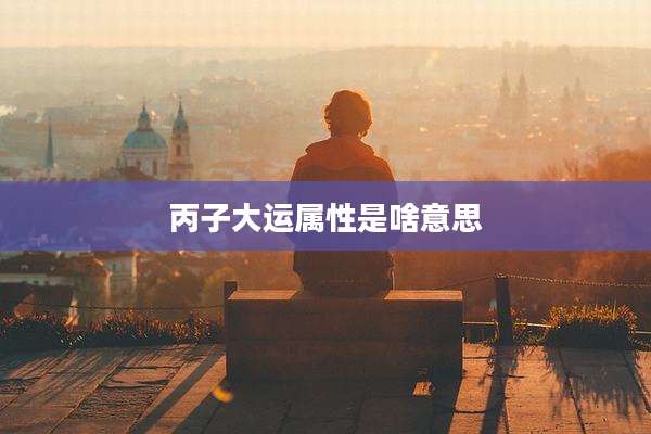 丙子大运属性是啥意思