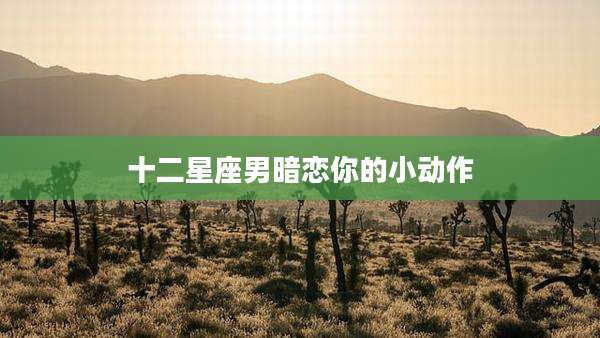 十二星座男暗恋你的小动作