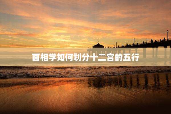 面相学如何划分十二宫的五行