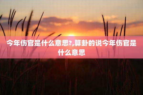 今年伤官是什么意思?,算卦的说今年伤官是什么意思