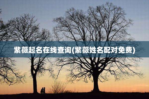 紫薇起名在线查询(紫薇姓名配对免费)