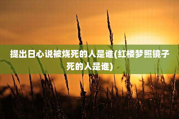 提出日心说被烧死的人是谁(红楼梦照镜子死的人是谁)