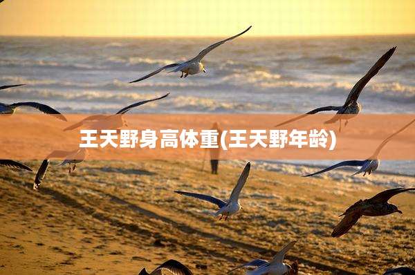 王天野身高体重(王天野年龄)
