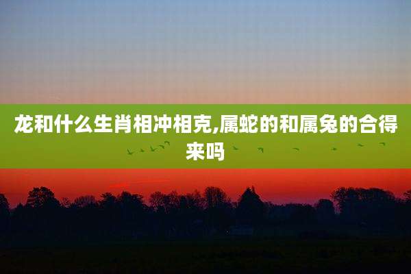 龙和什么生肖相冲相克,属蛇的和属兔的合得来吗