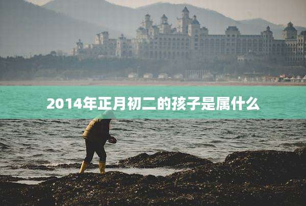 2014年正月初二的孩子是属什么