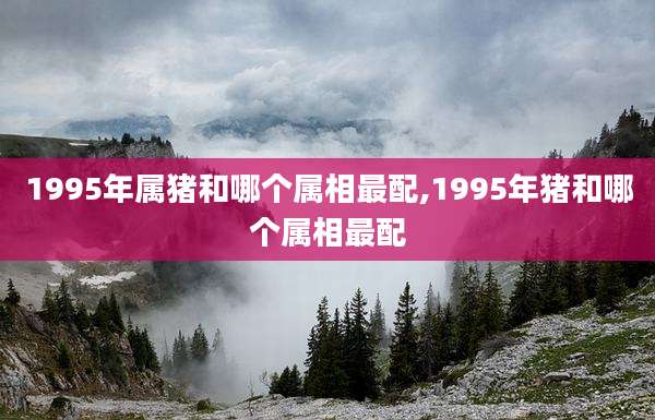 1995年属猪和哪个属相最配,1995年猪和哪个属相最配