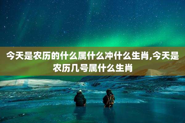 今天是农历的什么属什么冲什么生肖,今天是农历几号属什么生肖