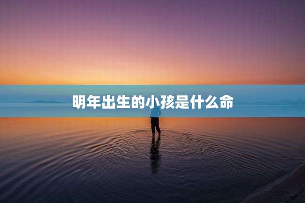 明年出生的小孩是什么命