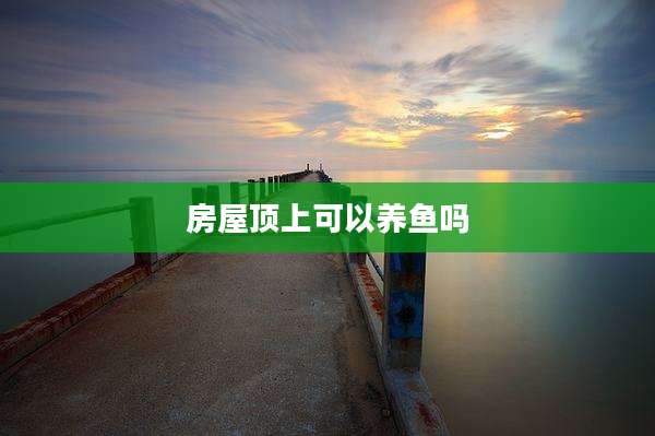 房屋顶上可以养鱼吗