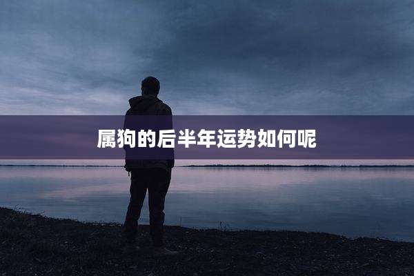 属狗的后半年运势如何呢