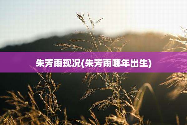 朱芳雨现况(朱芳雨哪年出生)