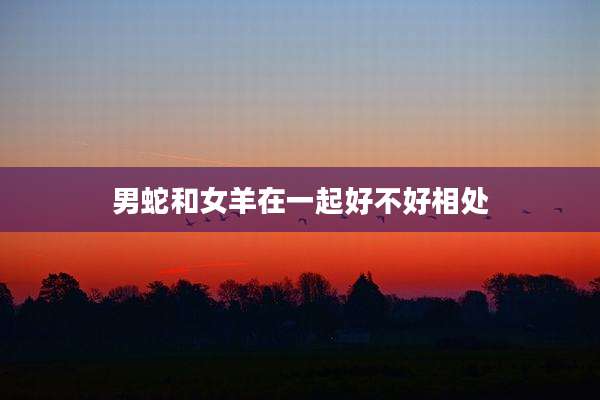男蛇和女羊在一起好不好相处