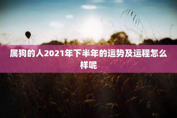 属狗的人2021年下半年的运势及运程怎么样呢