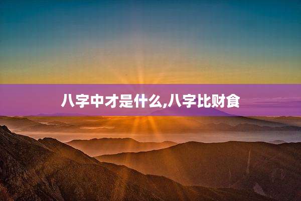 八字中才是什么,八字比财食