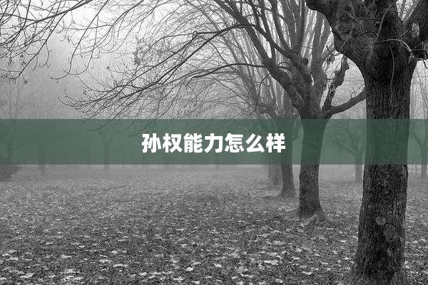 孙权能力怎么样