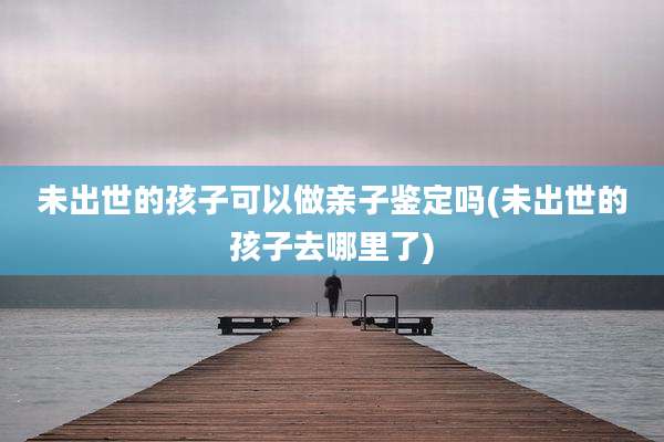 未出世的孩子可以做亲子鉴定吗(未出世的孩子去哪里了)